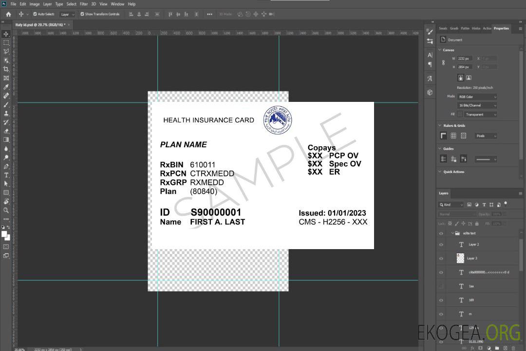 Carte d'assurance maladie de l'Érythrée template